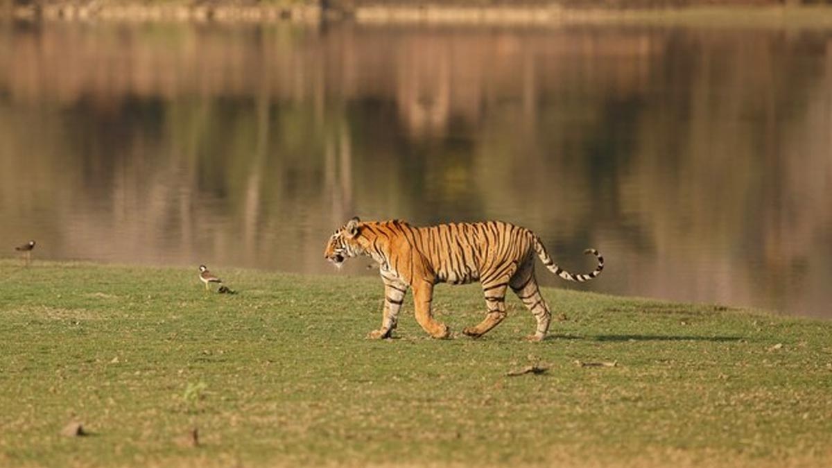 wildlife sanctuaries in andhra pradesh for weekend