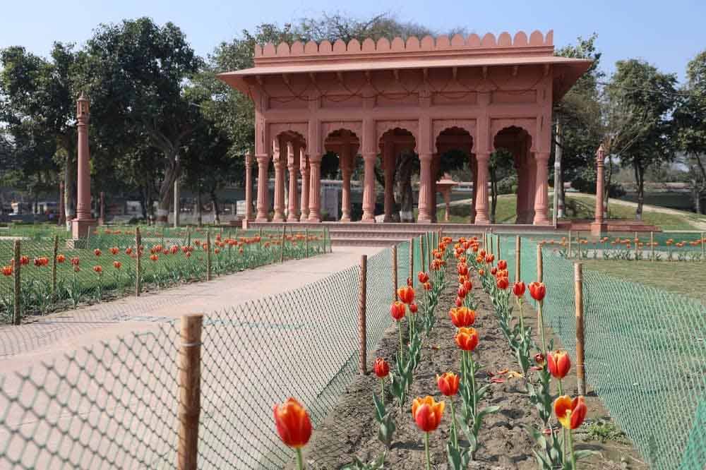 yamuna aarti in delhi