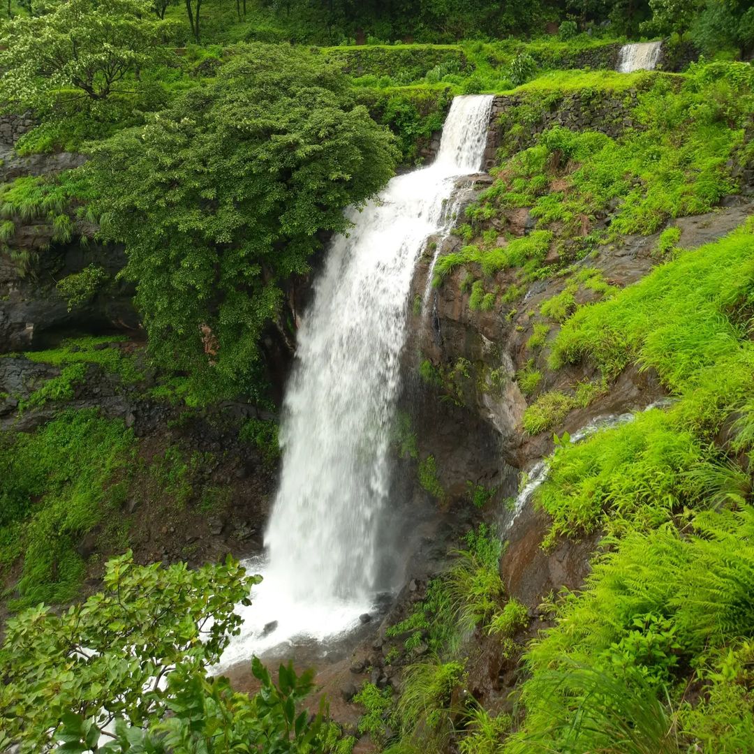 Bhandardara