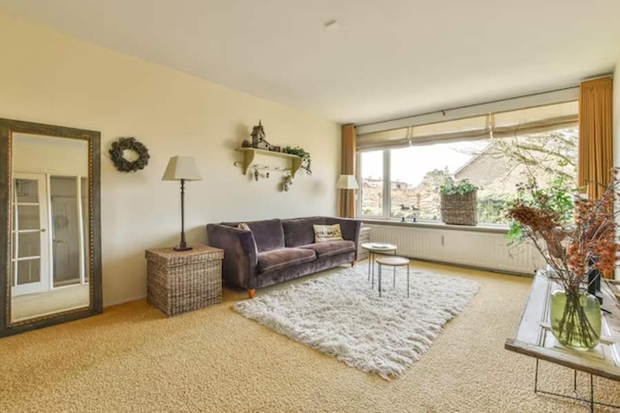 कारपेट से आने लगी है स्मेल, इन 3 तरीकों से करें साफ carpet smell