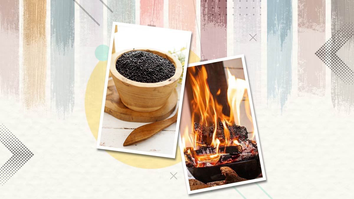 Magh Purnima 2024   Magh Purnima 2024 Significance Of Performing Havan With Black Sesame Seeds 