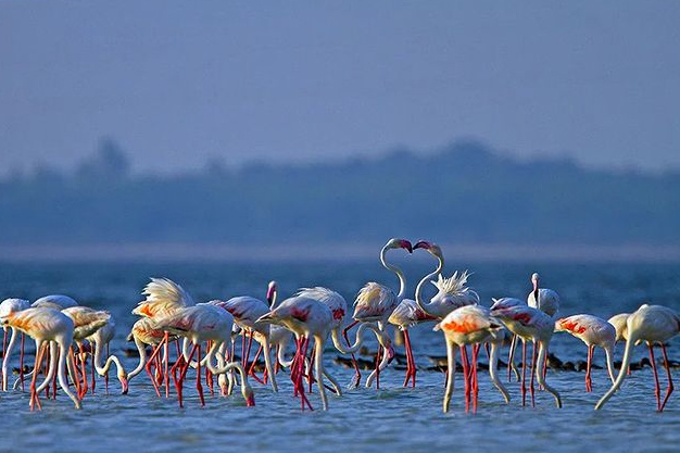 Tamil nadu Travel: दो राज्यों की खूबसूरती में चार चांद लगाने का काम ...