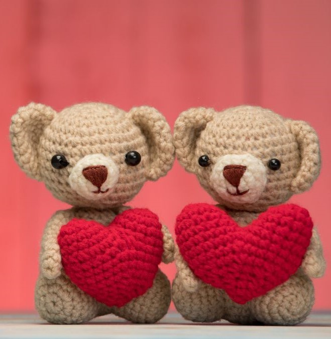 Teddy Day Whatsapp Status