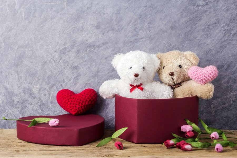 Teddy Day significane
