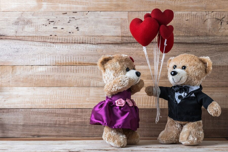 Teddy day for love