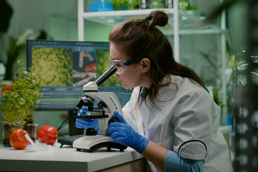 UPSSSC Recruitment  notification