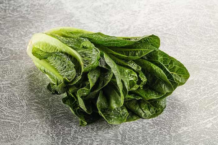 What happens if I eat bad lettuce