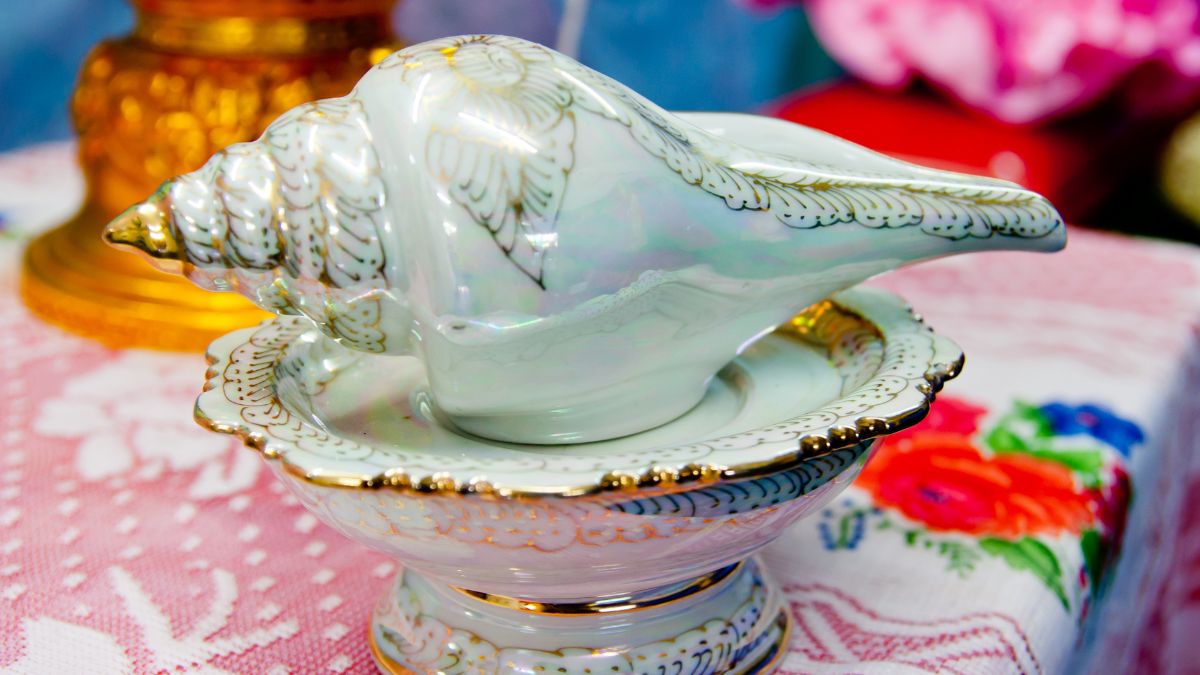 When Should You Offer Water With Conch Shell To Tulsi Plant