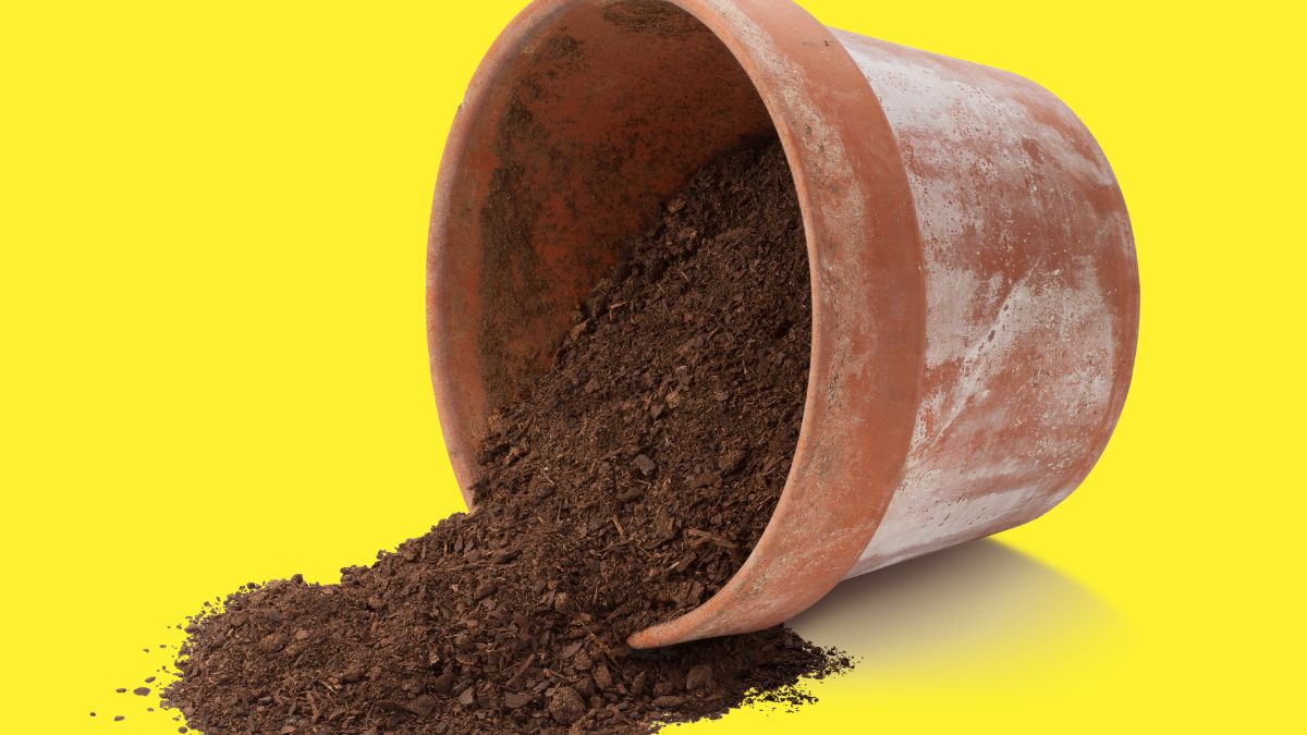 Why should one keep an empty pot in the house