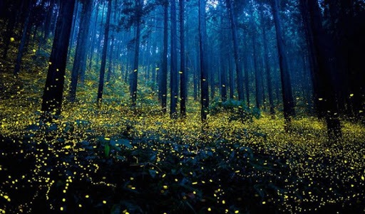 around mumbaiPurushwadi