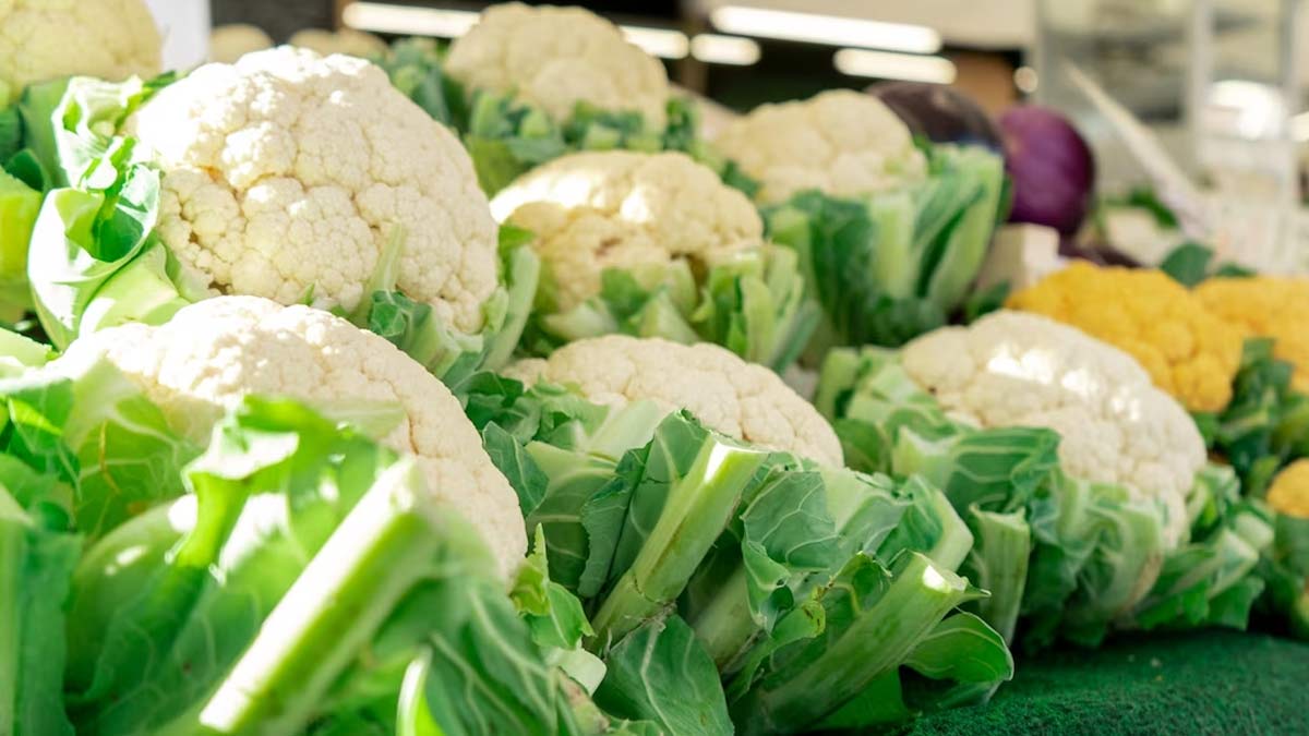 best food for breast cancer