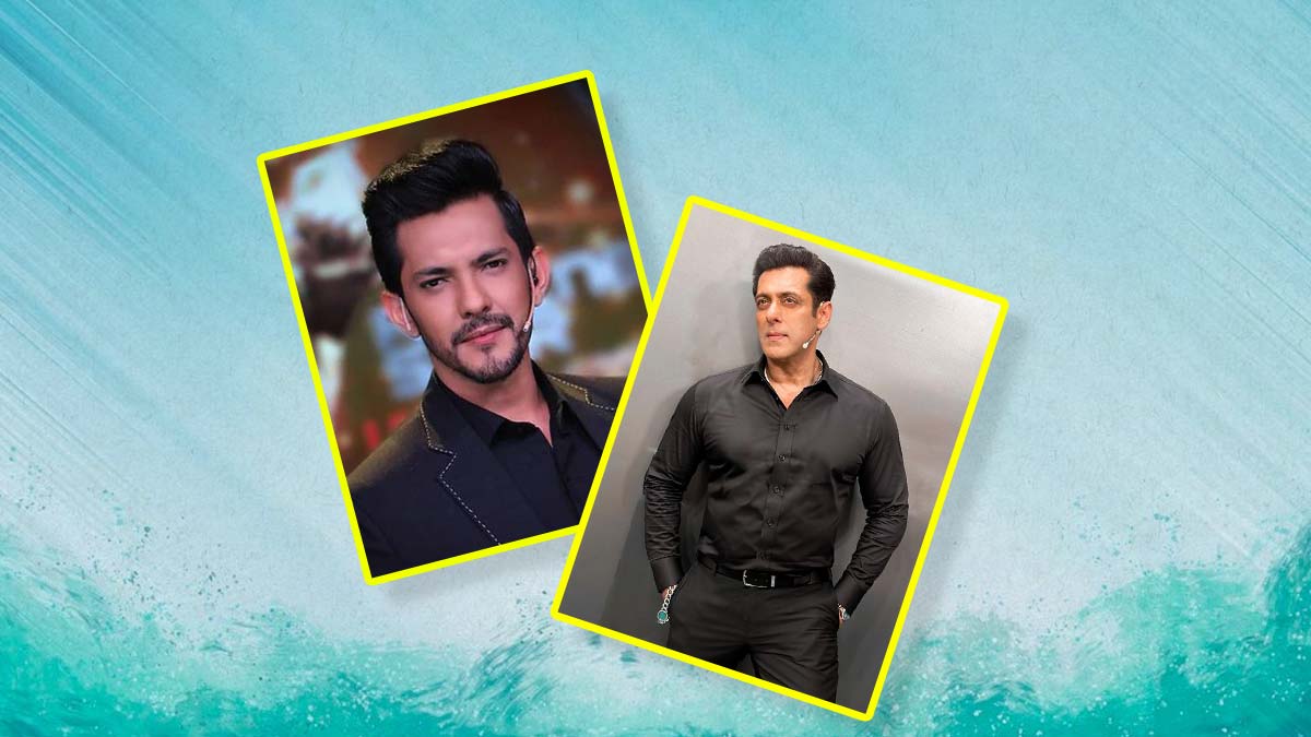 Aditya Narayan To Salman Khan: Celebrities Who Lost Their Temper With Fans In Public