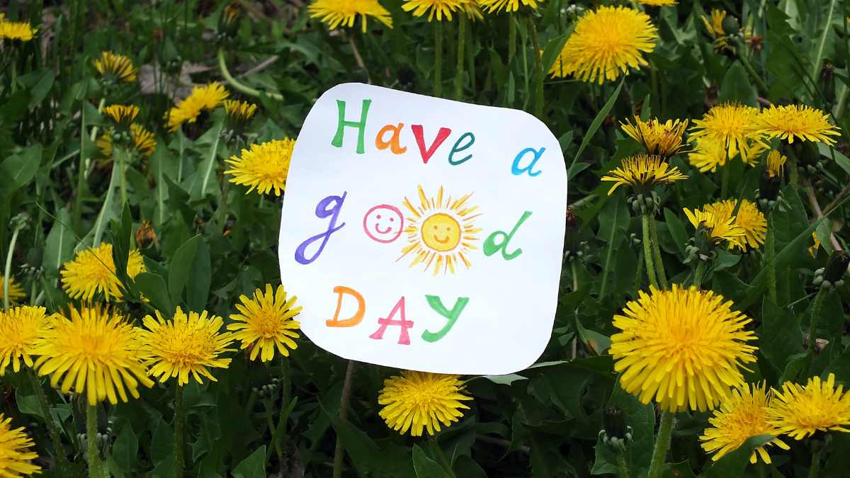 daily horoscope february for sun signs