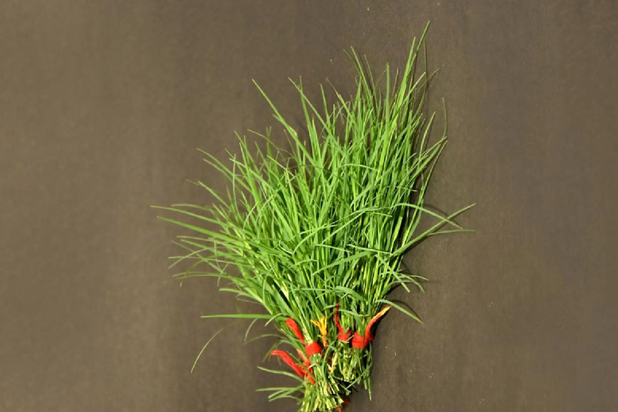 durva grass astro tips