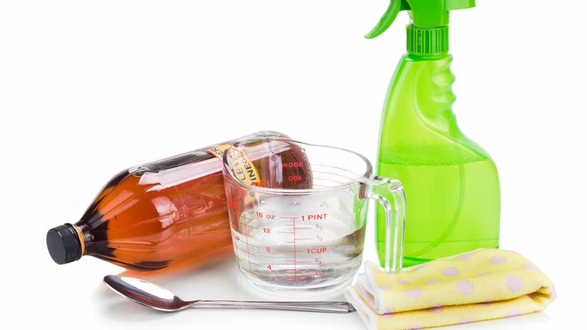 Homemade Cleaner: घर पर मौजूद इन तीन चीजों से बनाएं नेचुरल होममेड फ्लोर क्लीनर