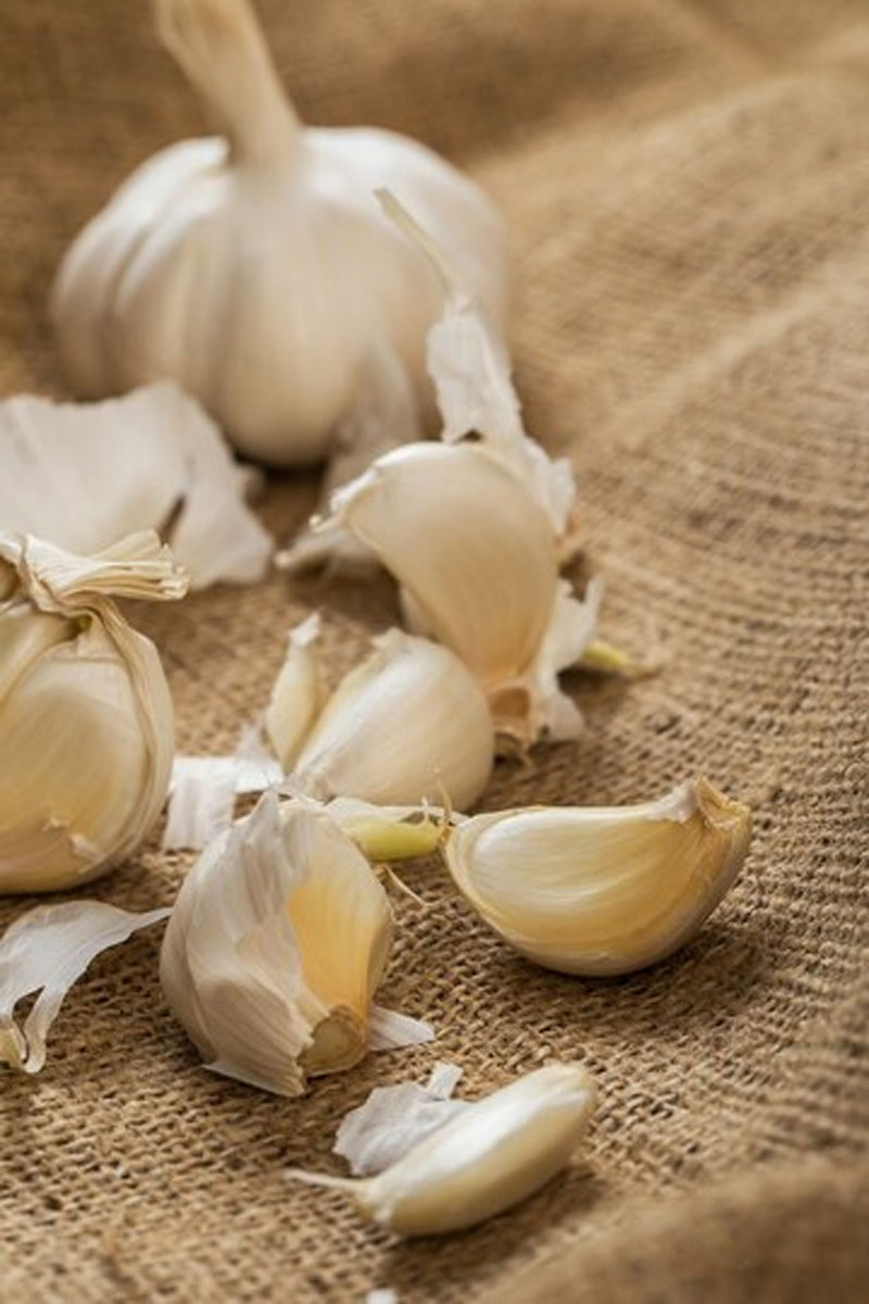how to make Garlic peel powder at home