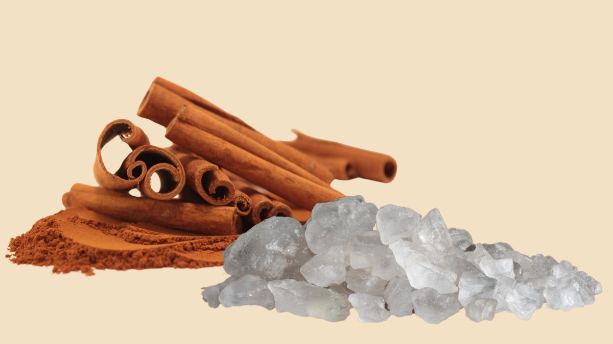 Know How Burning Camphor With Cinnamon Can Help You Pacify Planets In Your Horoscope