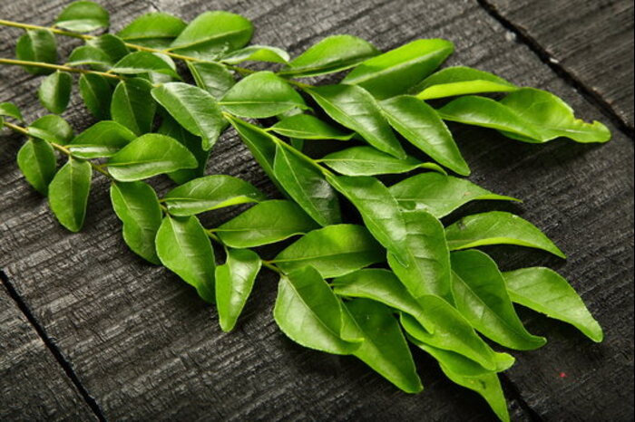 inside part of curry leaves