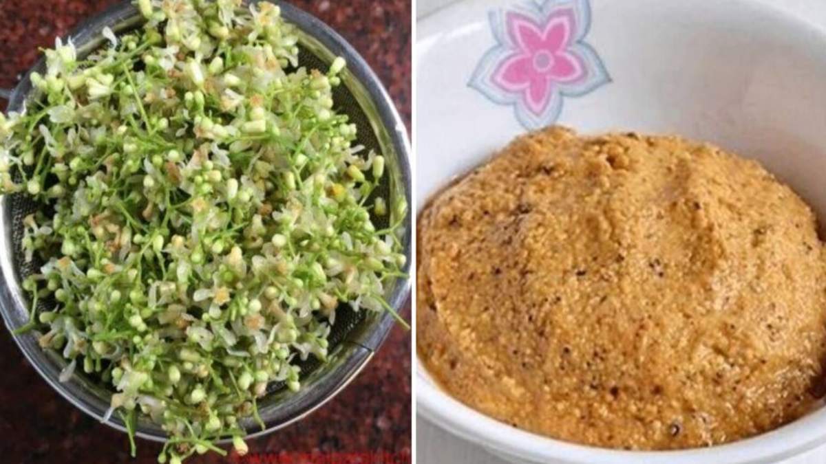 Neem Flower Chutney: மாதவிடாய் வலியைப் போக்கும் வேப்பம் பூ சட்னி!