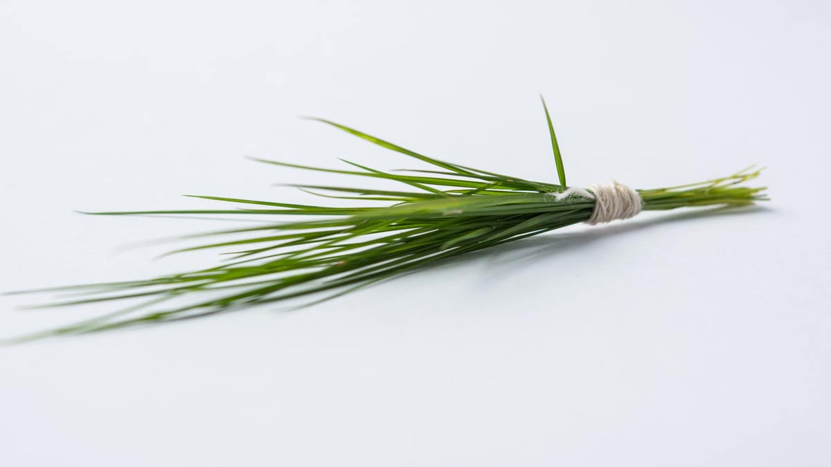 offering durva to ganpati rules