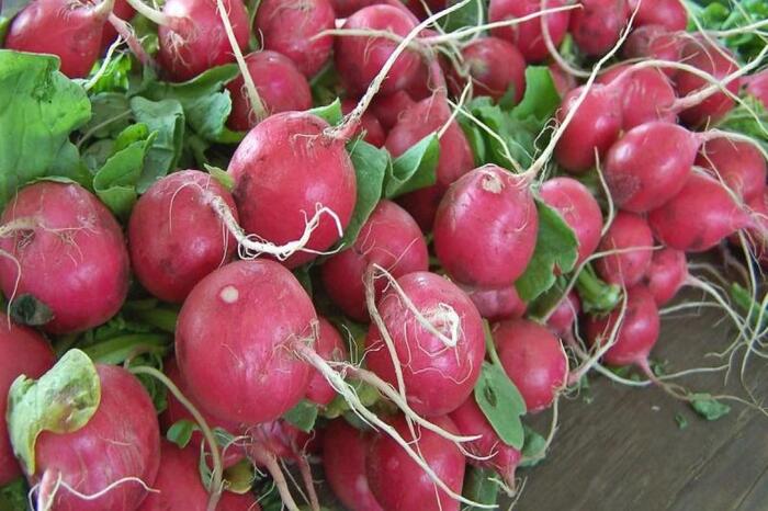 red radish for heart