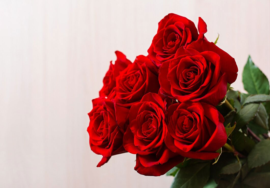 rose day significance in hindi