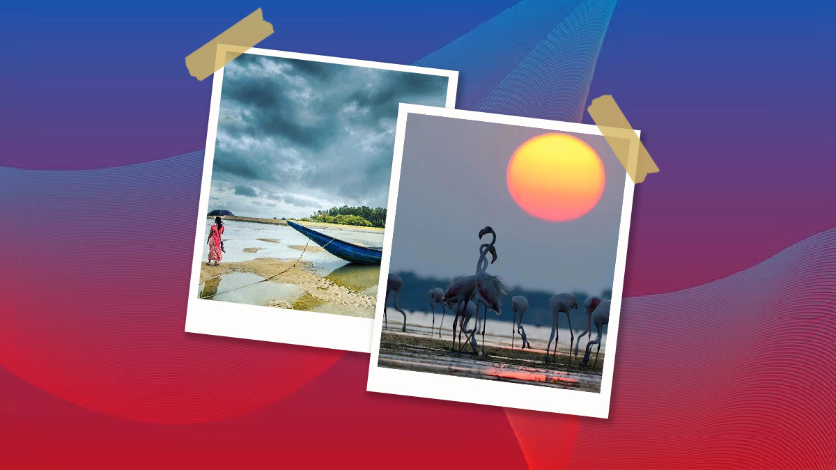 Tamil nadu Travel: दो राज्यों की खूबसूरती में चार चांद लगाने का काम करती है  यह अद्भुत जगह | best places to visit in pulicat tamil nadu | HerZindagi
