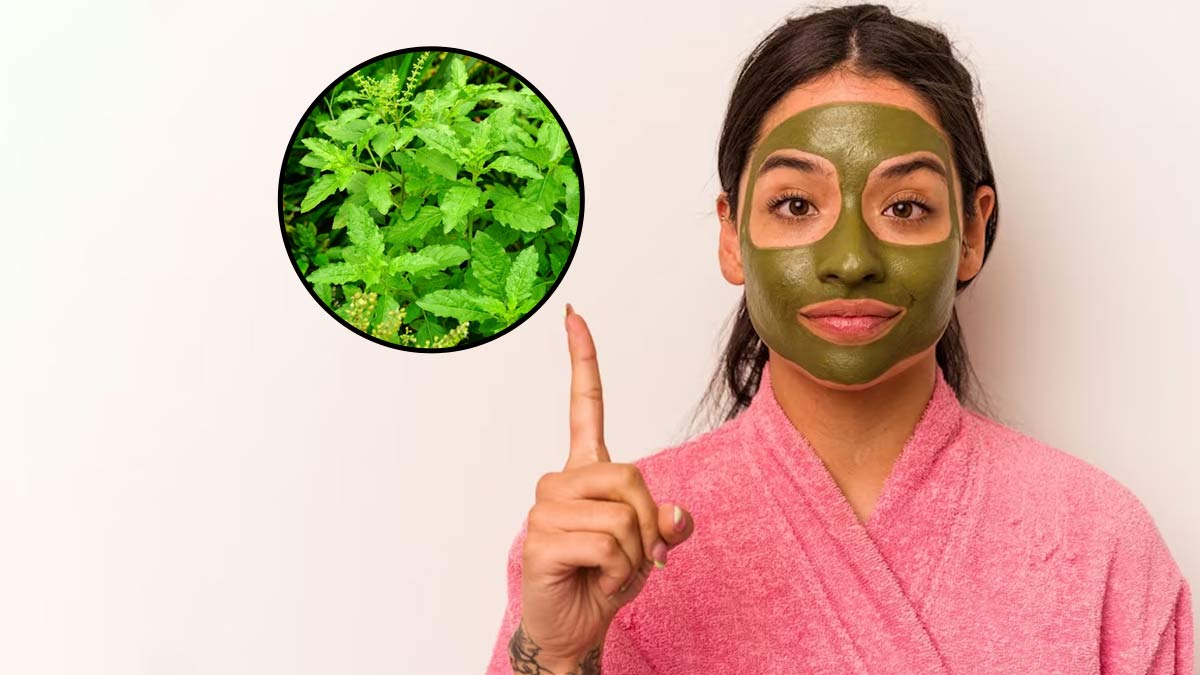 tulsi face mask skin care