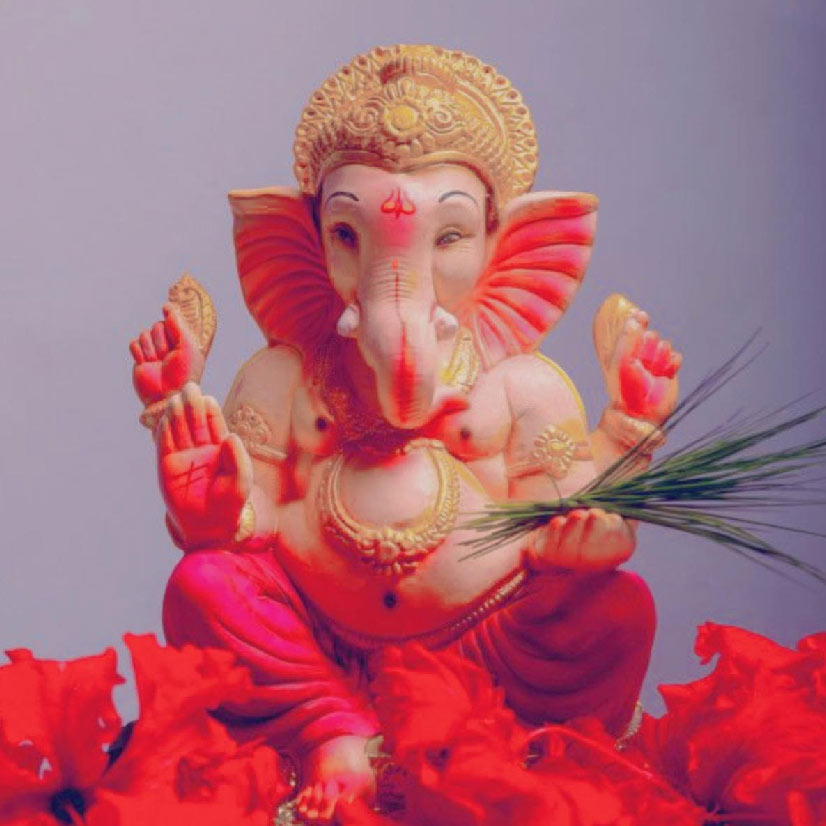 what to do with durva grass offered to ganpati