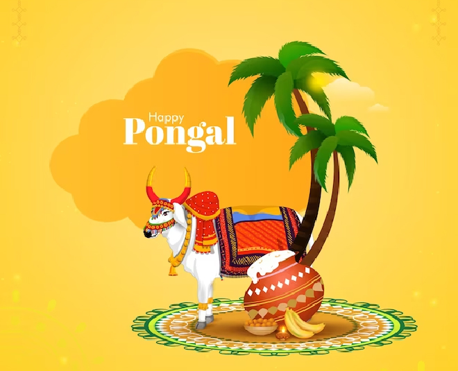 Pongal 2024 Know About Days Of Celebration, Dates, Myths, Thai Pongal