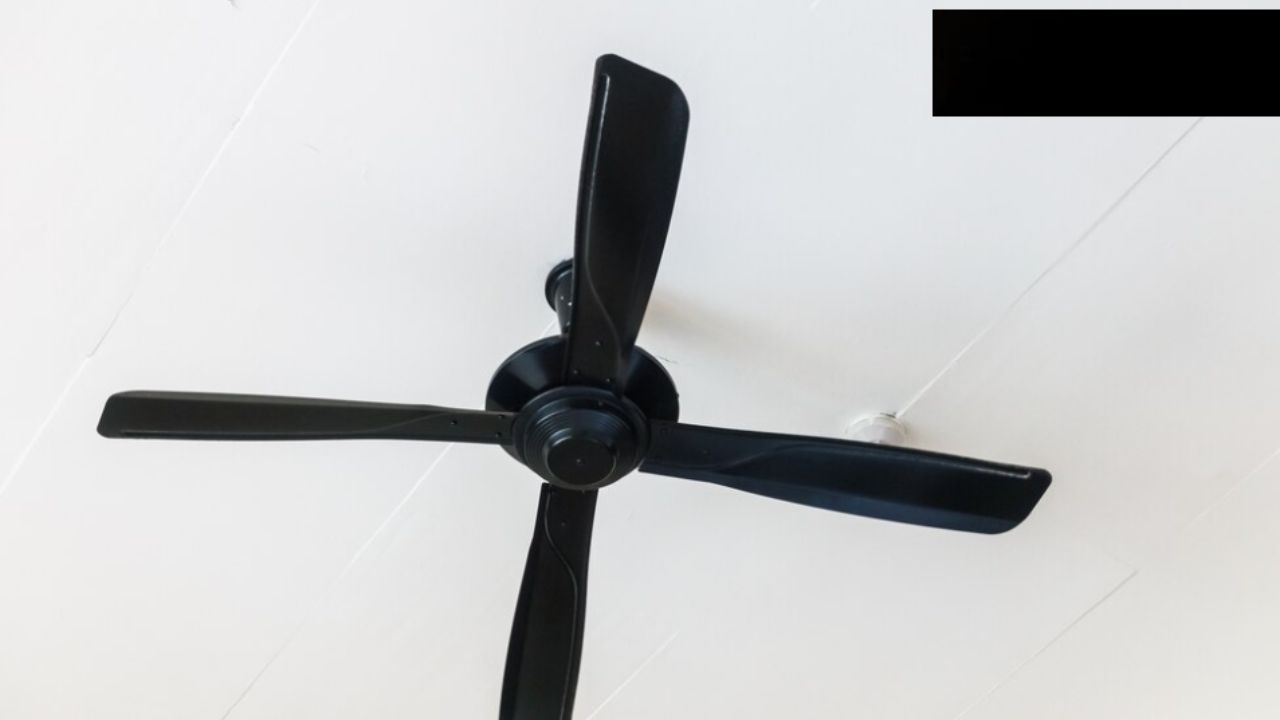 26-inch-ceiling-fan-blades-at-rs-190-set-ceiling-fan-blades-in