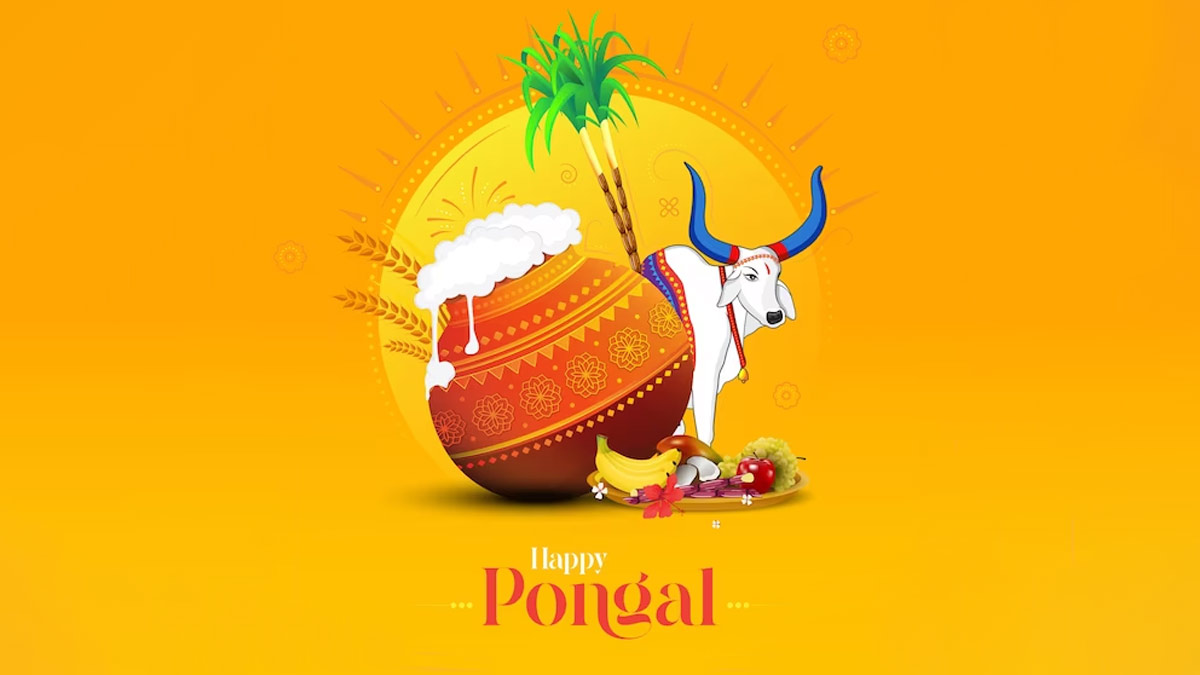 Happy Mattu Pongal 2024 Wishes & Quotes in Hindi पोंगल के चार दिनों