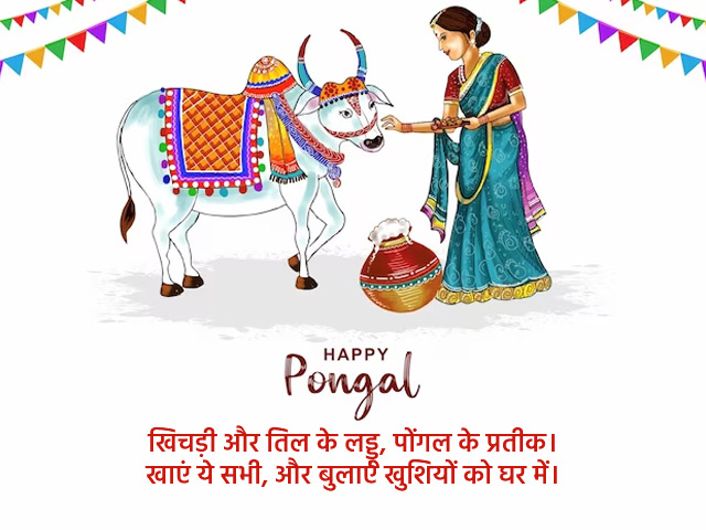 Happy Pongal  Images, Wishes, Quotes