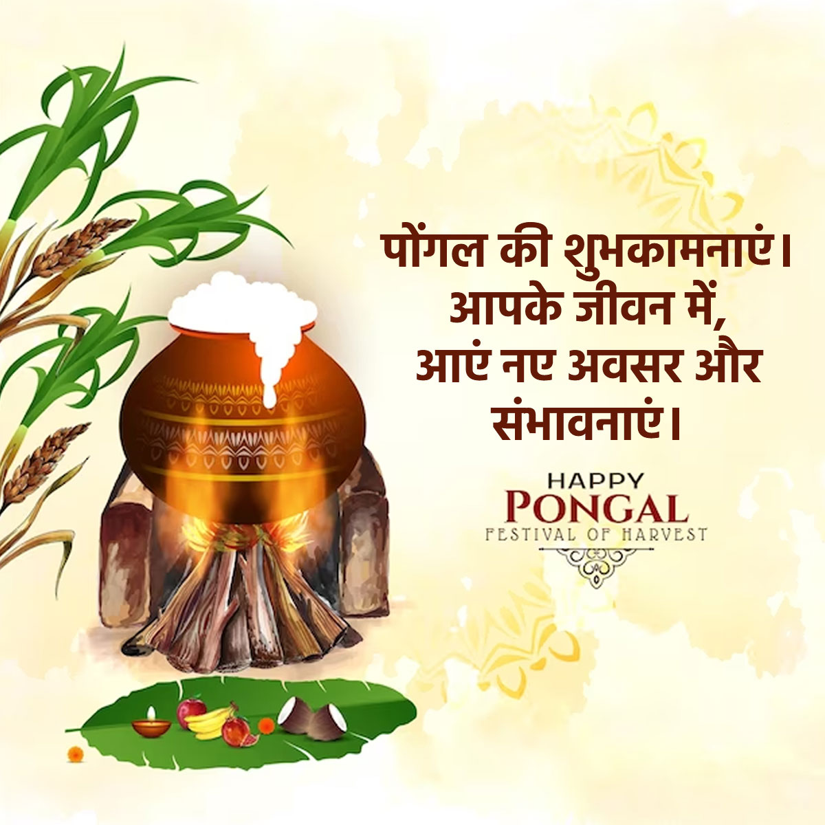 Pongal Wishes, Quotes & Message in Hindi पोंगल के शुभ अवसर पर अपनों को