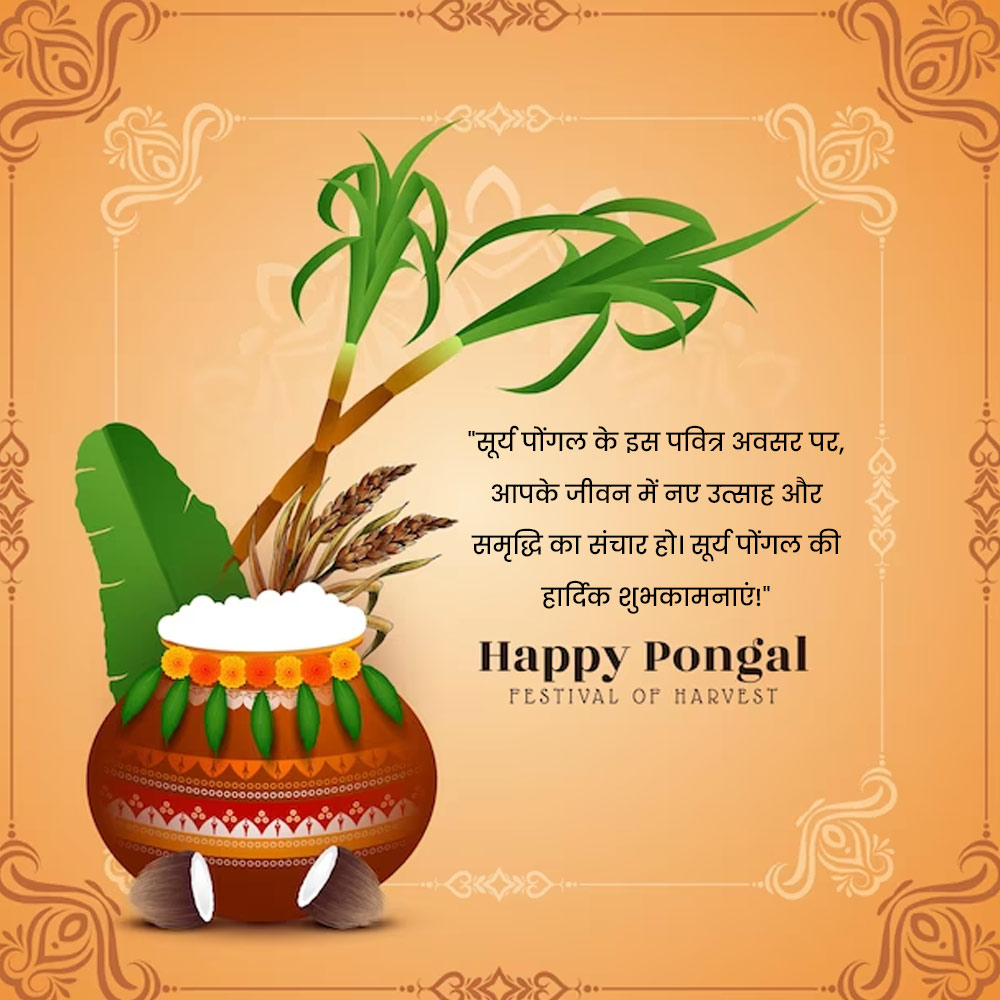 How you greet happy Pongal with quotes