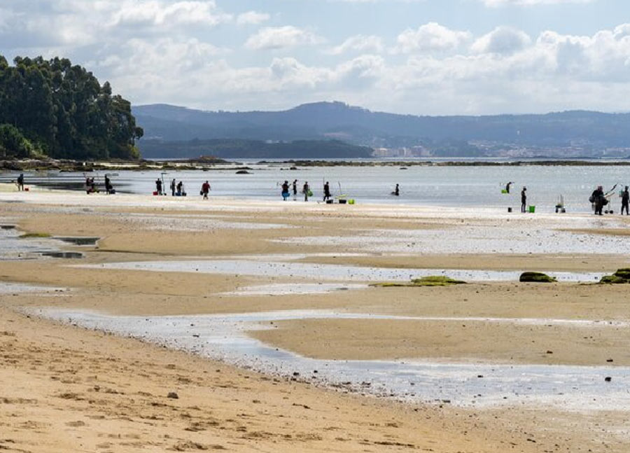 Maharashtra Best Beach