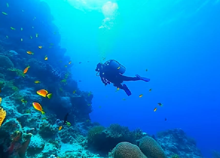 Maharashtra Cleanest BeachS