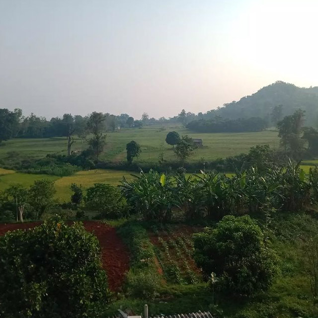 Mahendragarh Village