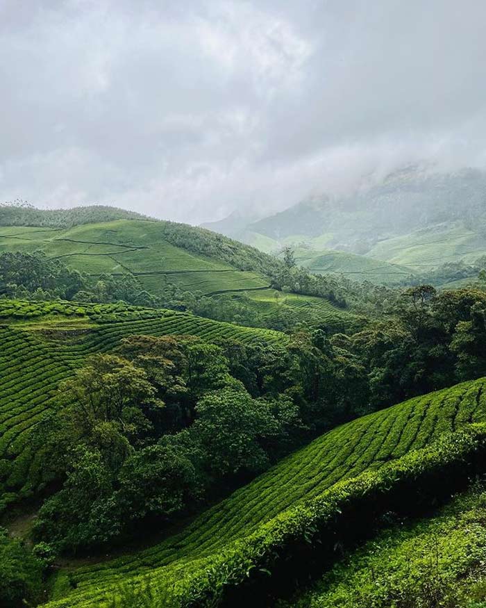 Munnar tourist places