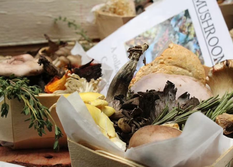 News Paper is Helpful For Compost Bin