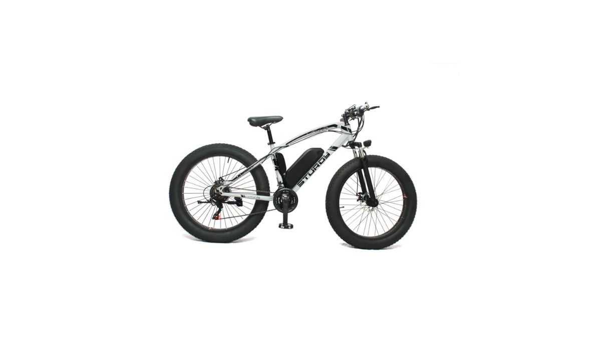 electric bicycle price list