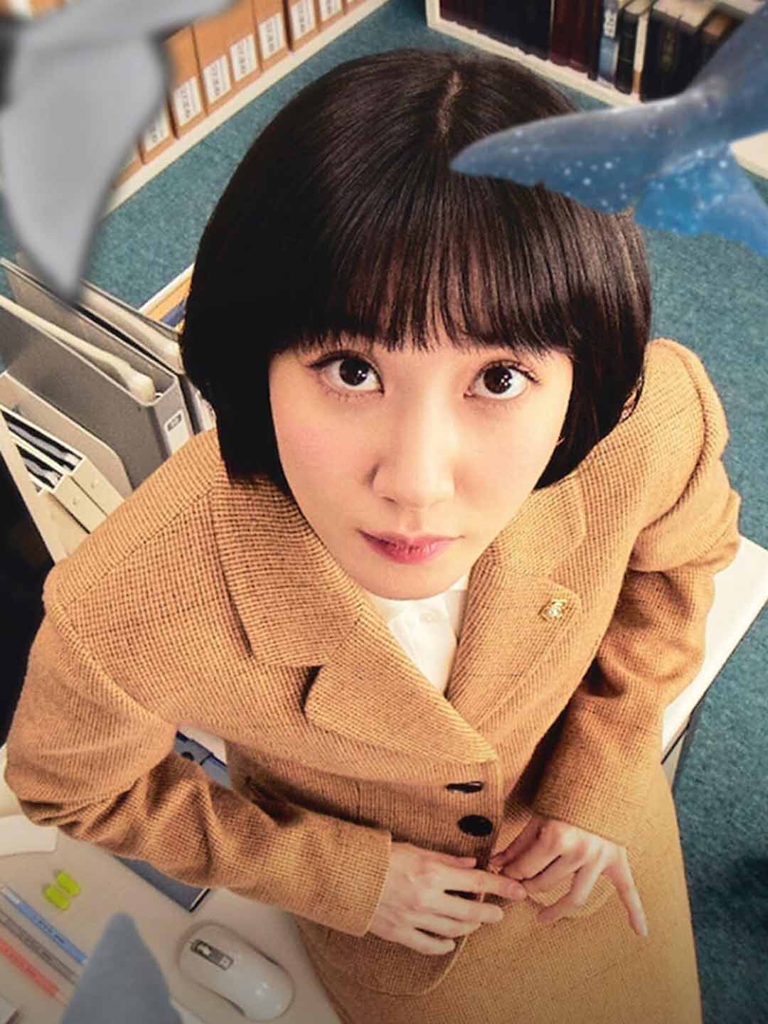 What Is Extraordinary Attorney Woo About