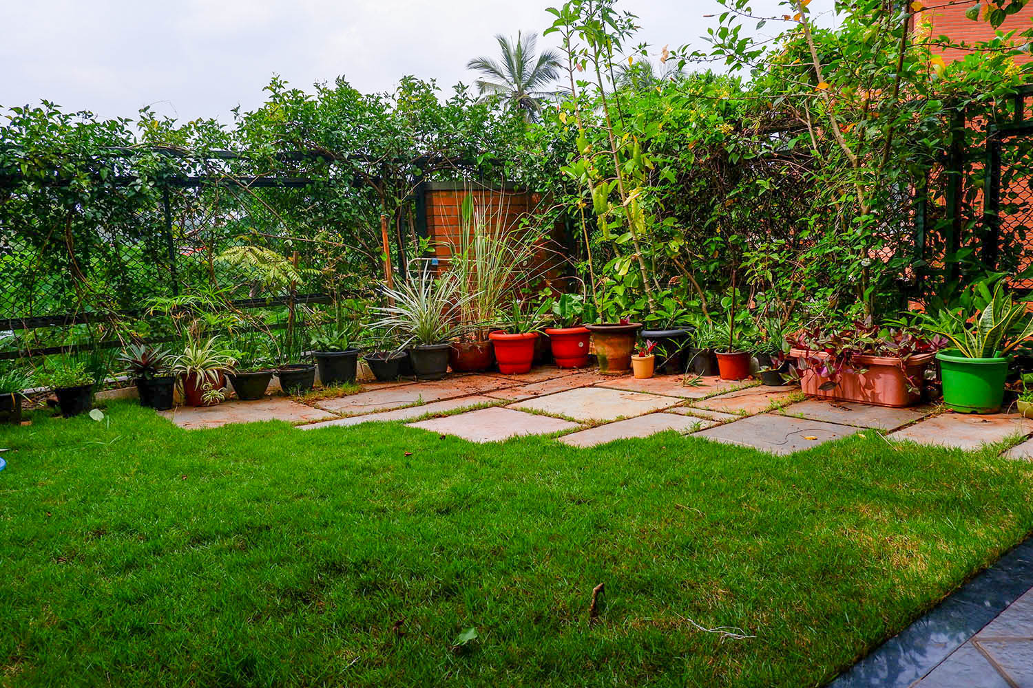 What are the disadvantages of a terrace garden