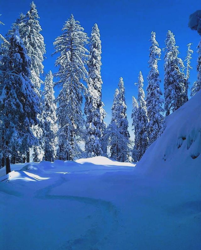 What is Narkanda famous for