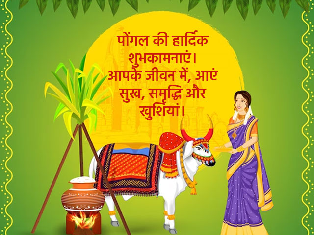 What is  good quote for Pongal