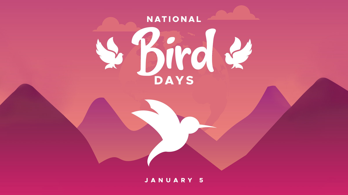 National Birds Day 2024 राष्ट्रीय पक्षी दिवस का इतिहास और महत्व, यहां