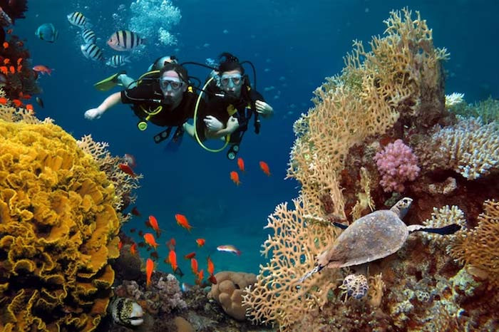andaman scuba diving fees