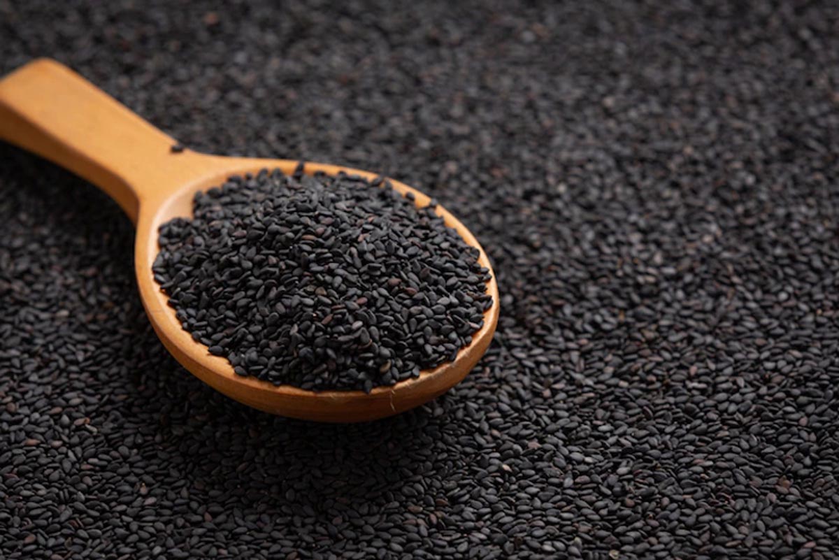 donate til on makar sankratni