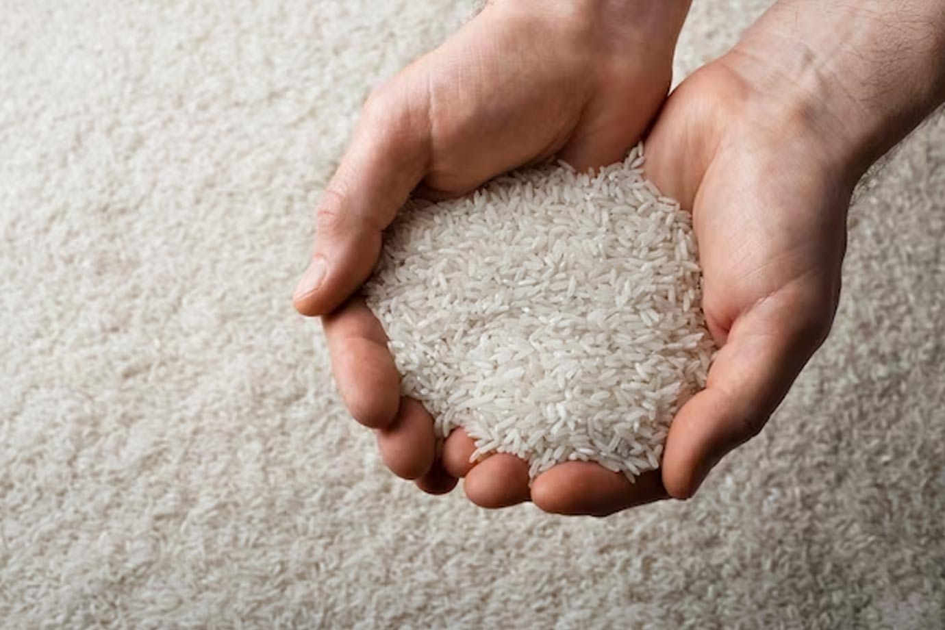 donation of rice on makar sankranti