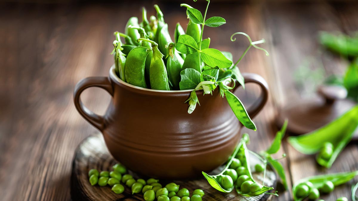 green peas in winters